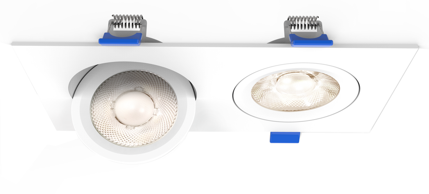 4" Floating Gimbal Downlight (2 Head)