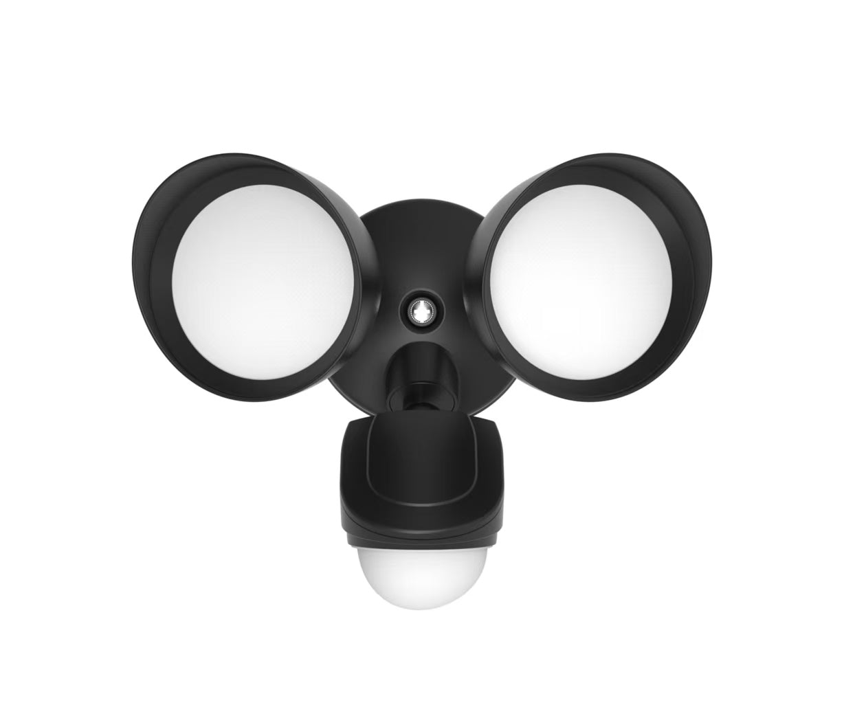 Security Light