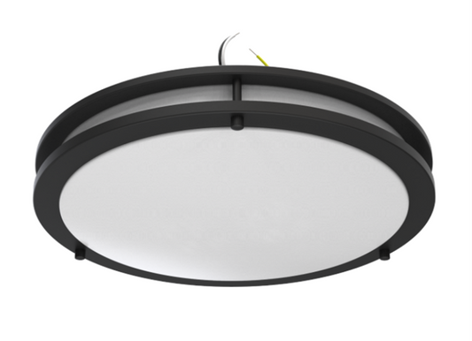 12" Double Ring Ceiling Light (Black)