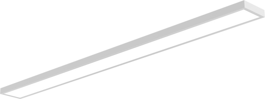 Linear Flush Mount (4ft x 4in)